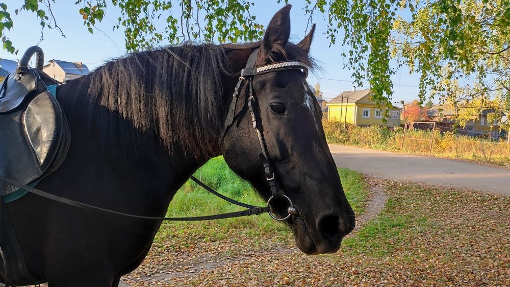 Фотография автора Марина Артемьева