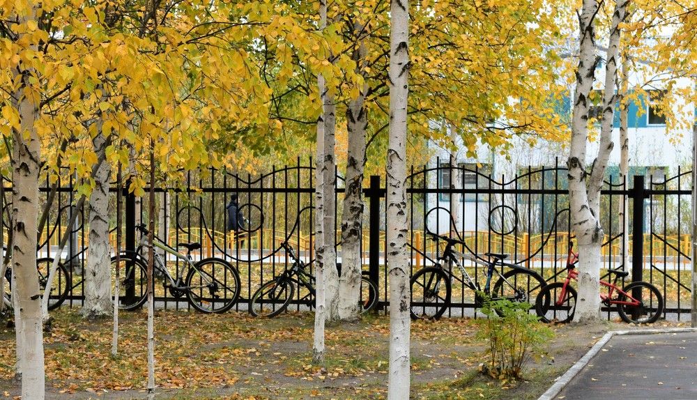 Двухколесные кони в ожидании хозяев