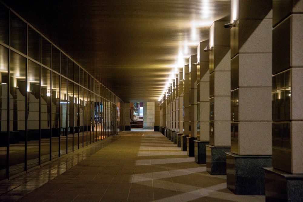 Фотография автора Фёдор Шишконаков