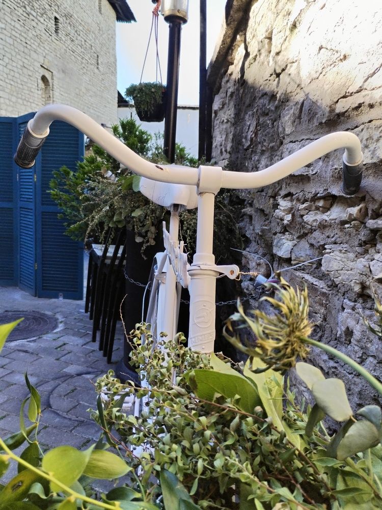 Фотография автора Юлия Ю.