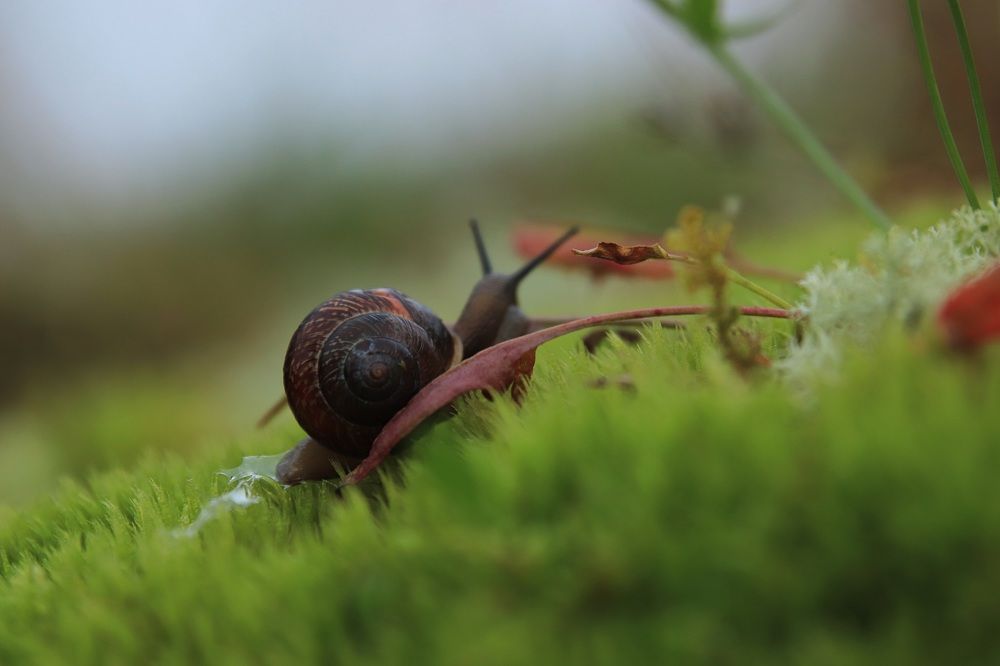 Путешествие