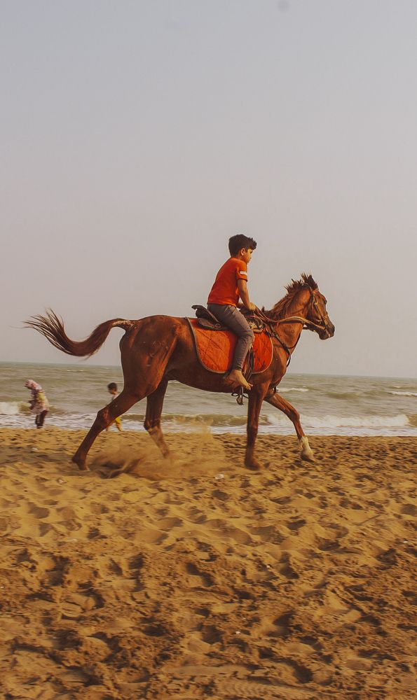 Photograph by ghavidel Amir Ali