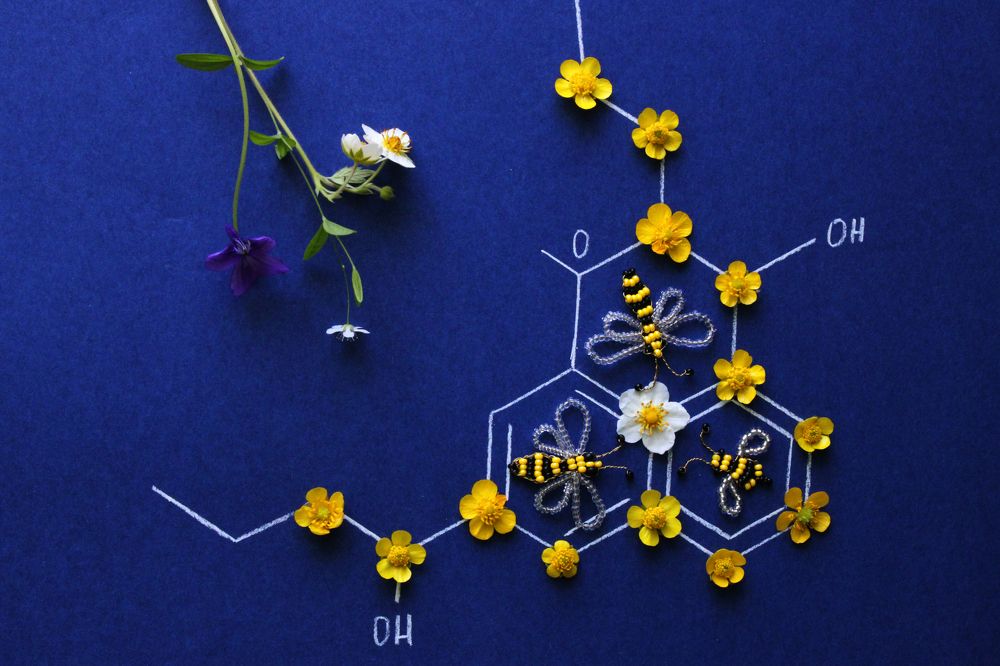 Photograph by Екатерина Пачина