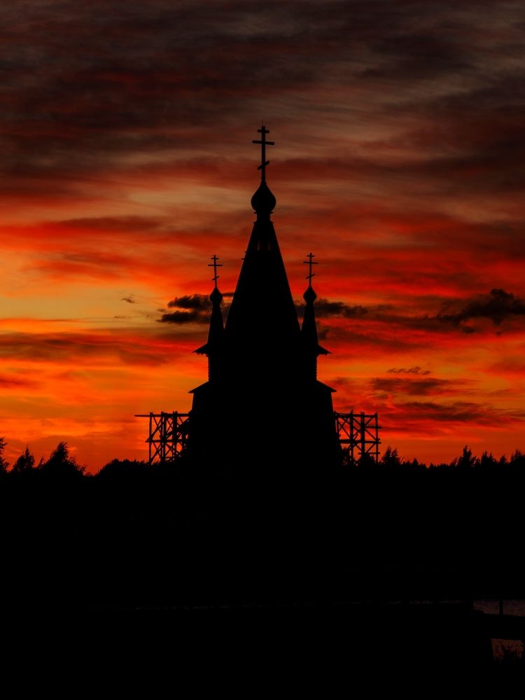 Фотография автора Ольга Попова