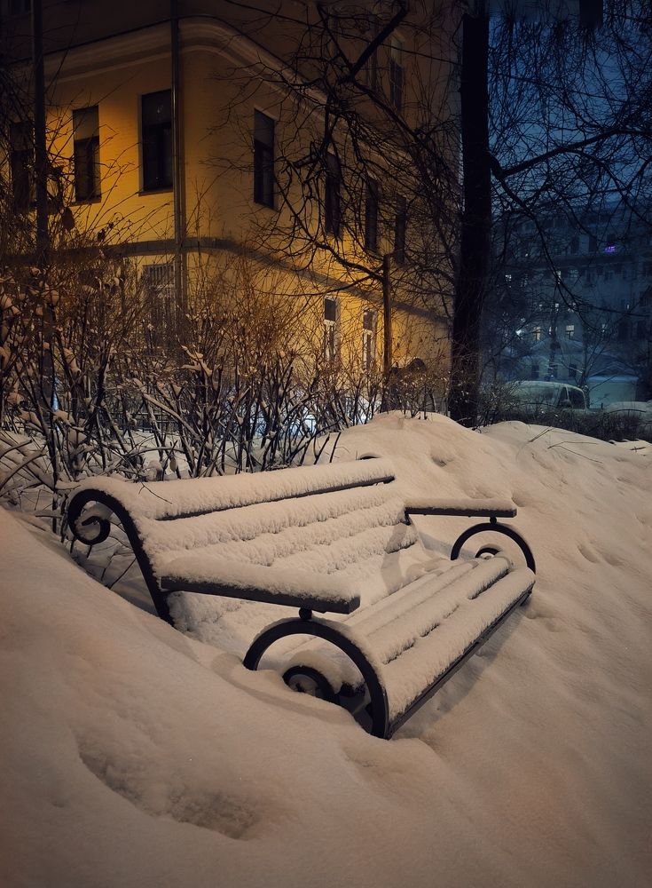 Фотография автора Ольга Попова