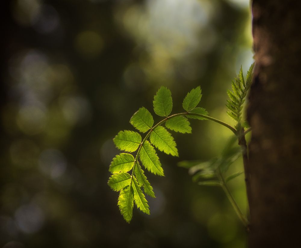 Фотография автора Ольга Попова