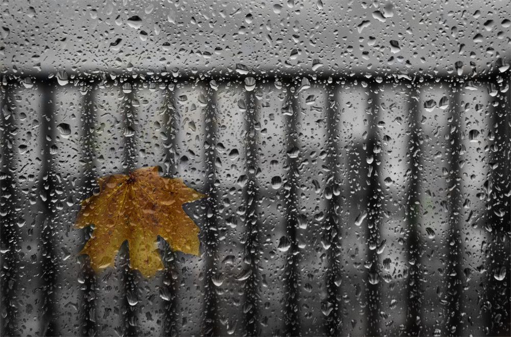 Фотография автора Ольга Попова