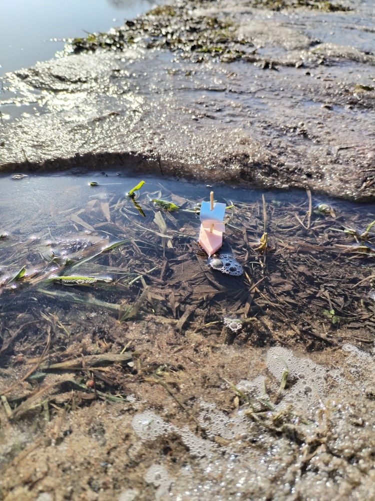 Фотография автора Юлия Ю.