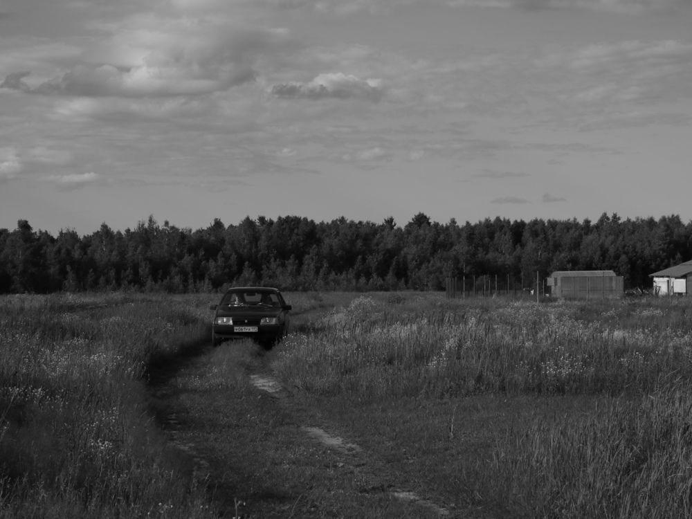 Photograph by Боков Дмитрий