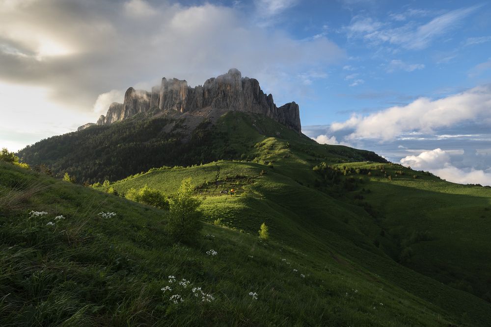 Фотография автора Светлана Шишкова