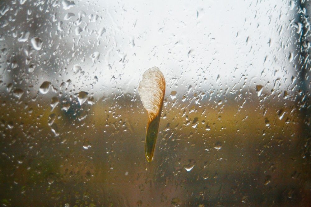 Фотография автора Иван Карпов