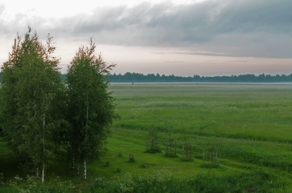 Фотография автора Алла Бойко