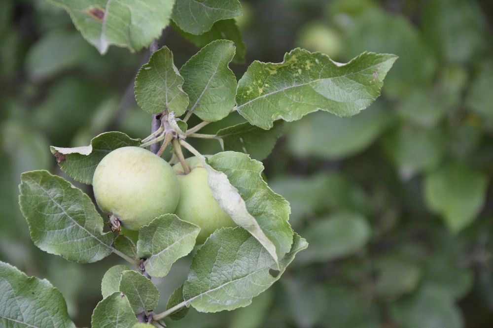 Фотография автора Юлия Ю.