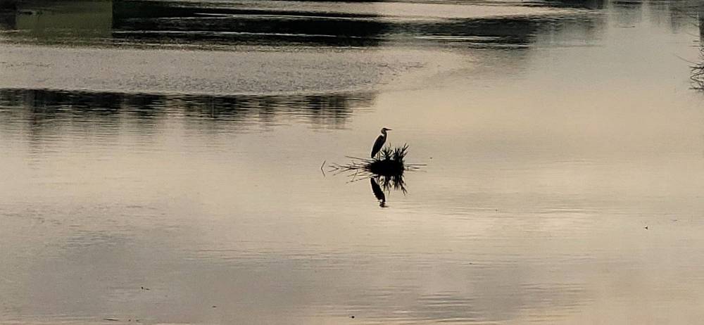 Фотография автора Метушова Анна