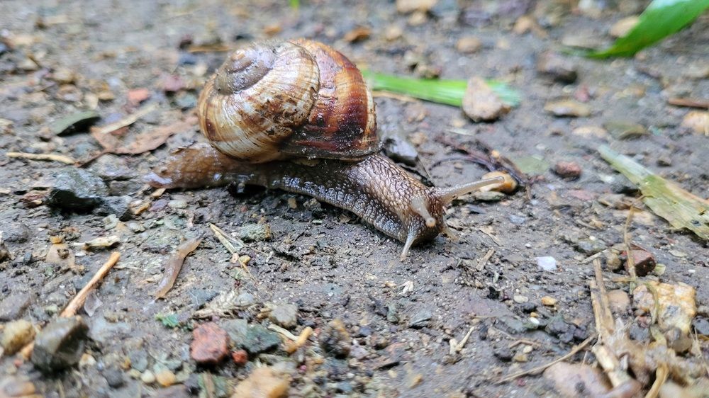 Фотография автора Метушова Анна
