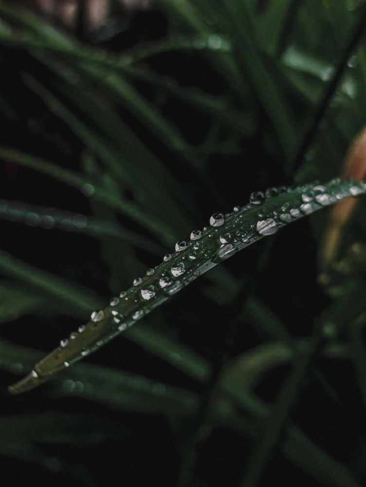 Photograph by Юлия Якубова