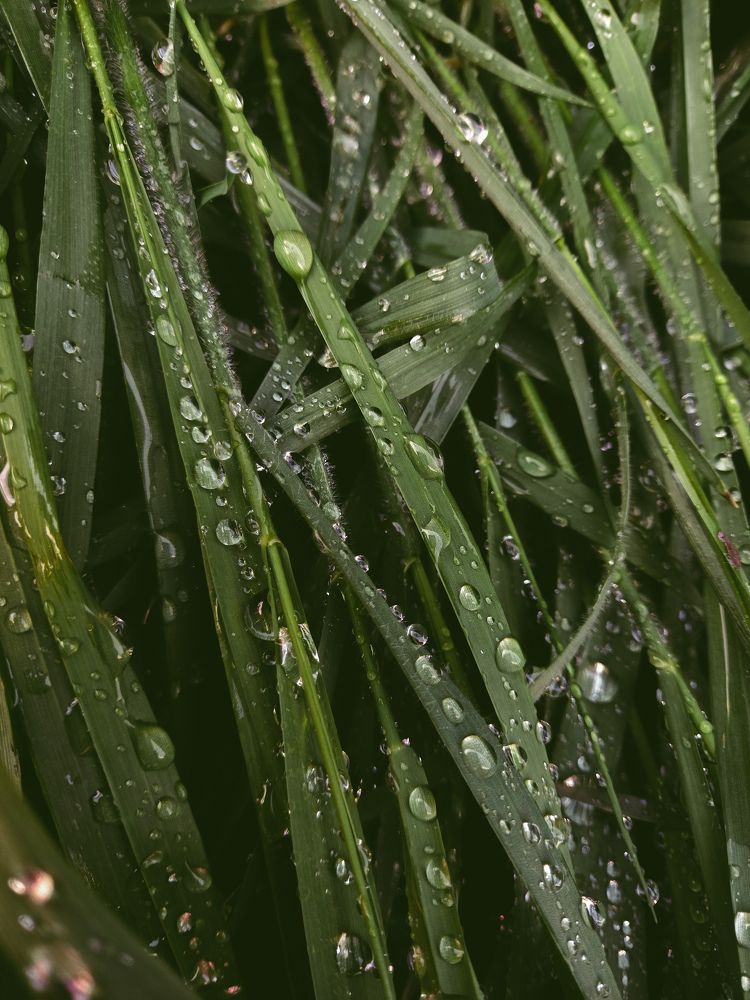 Фотография автора Кристина Присяжная