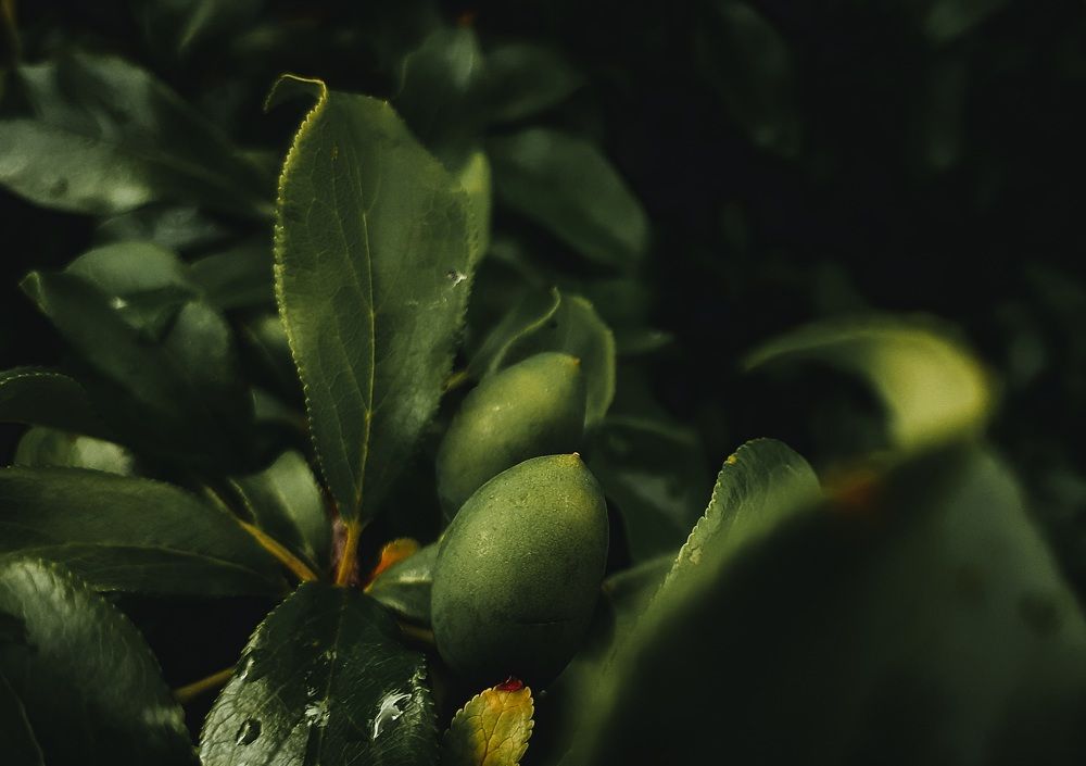 Фотография автора Кристина Присяжная