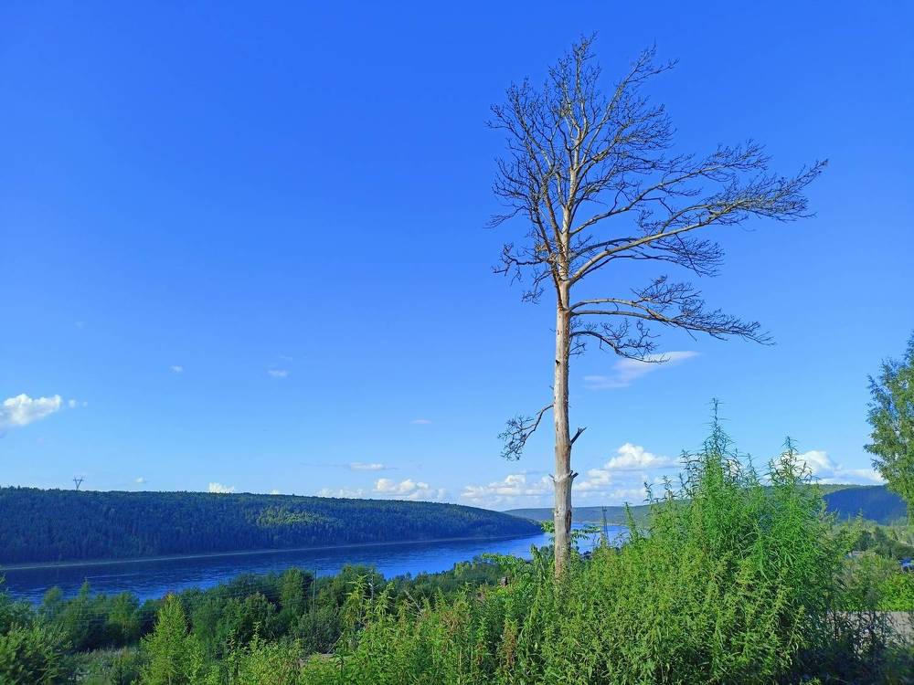 Фотография автора Анастасия Горбачева
