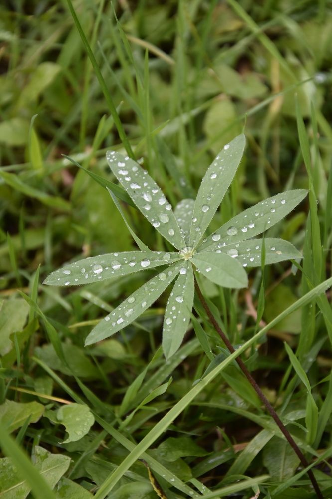 Фотография автора Юлия Ю.