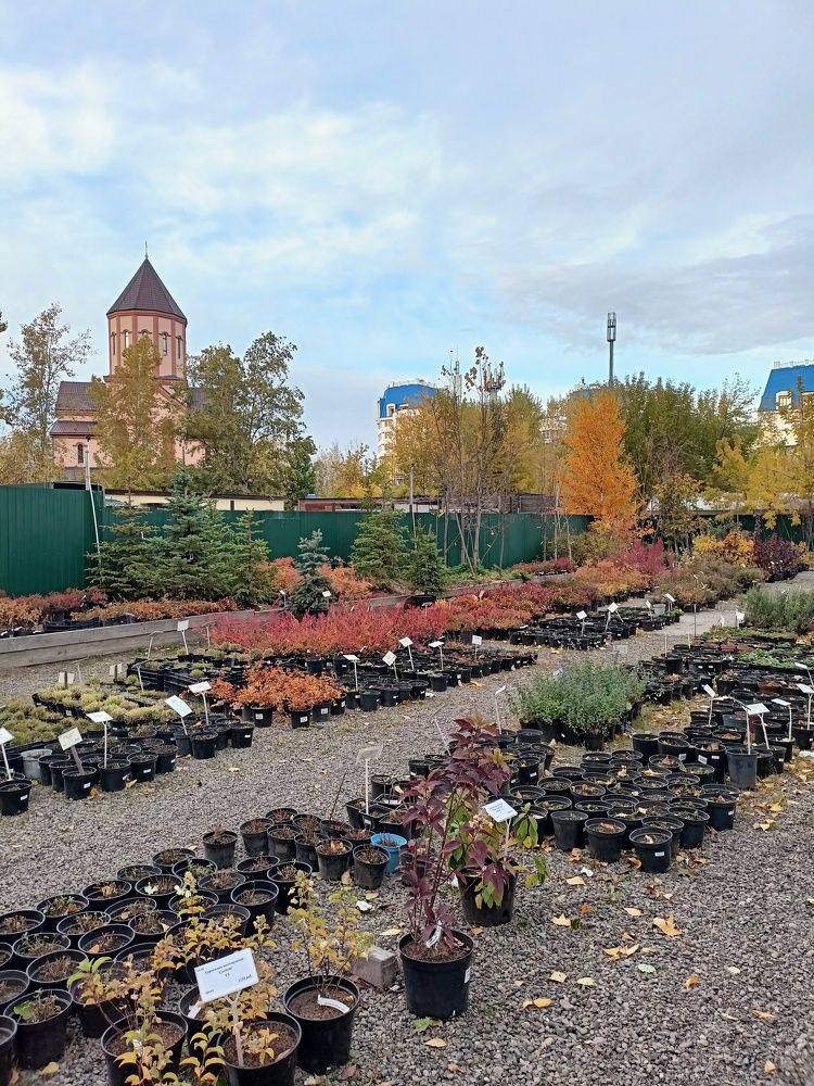 Фотография автора Анастасия Горбачева