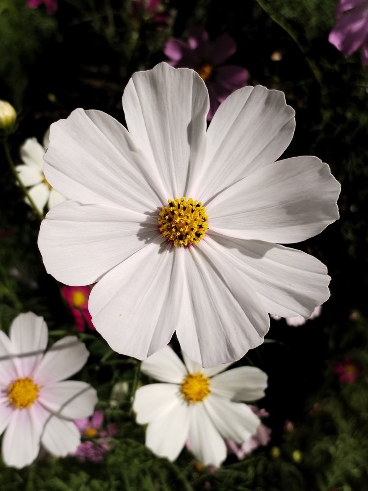 Фотография автора Юлия Ю.