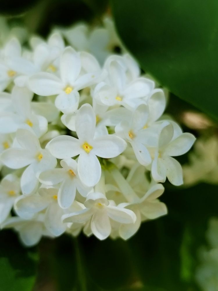 Фотография автора Юлия Ю.