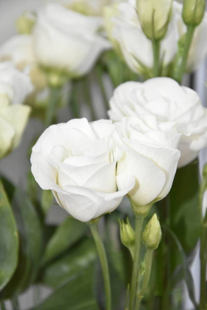 Фотография автора Юлия Ю.