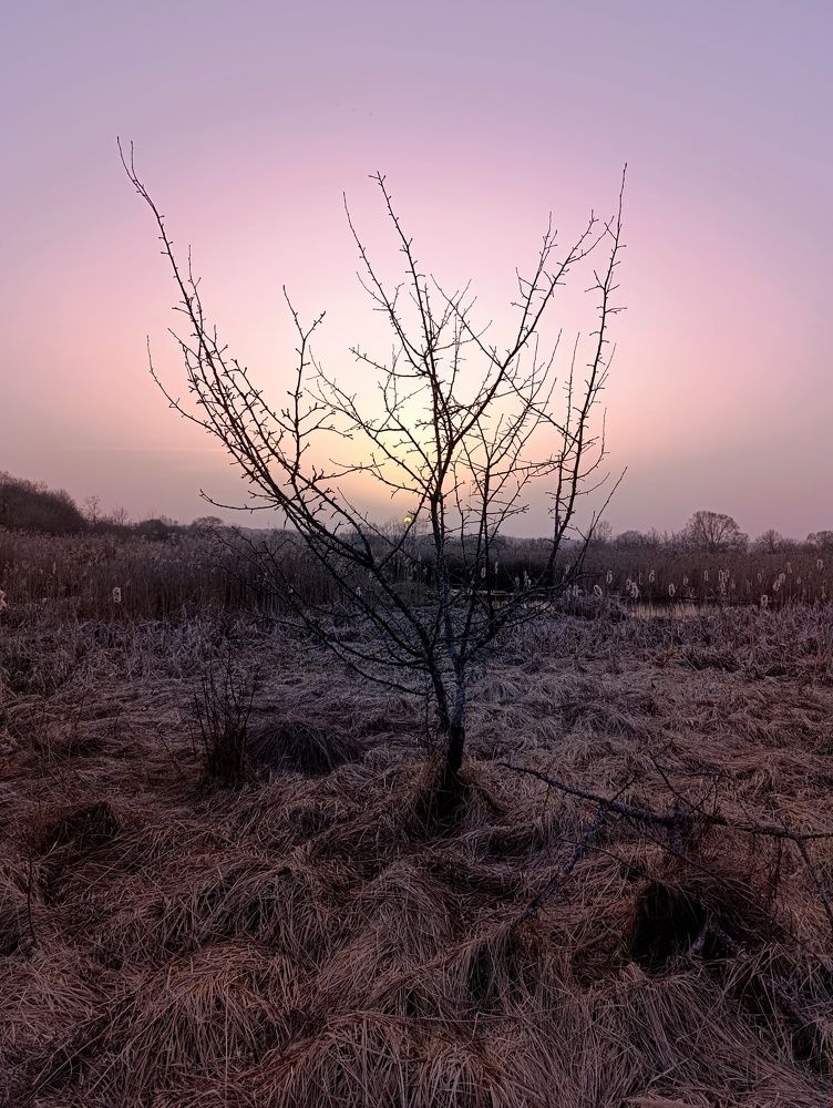 Фотография автора Светлана Таркан