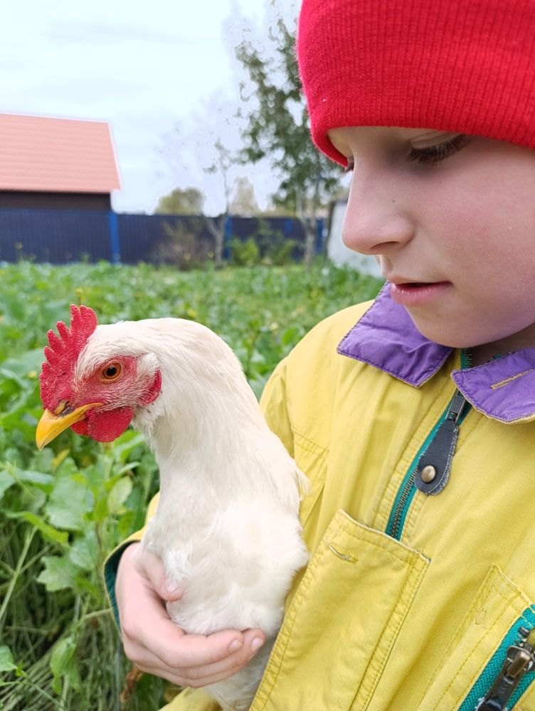 Фотография автора Светлана Таркан
