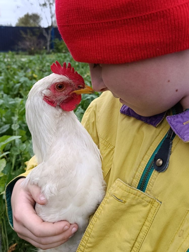 Фотография автора Светлана Таркан