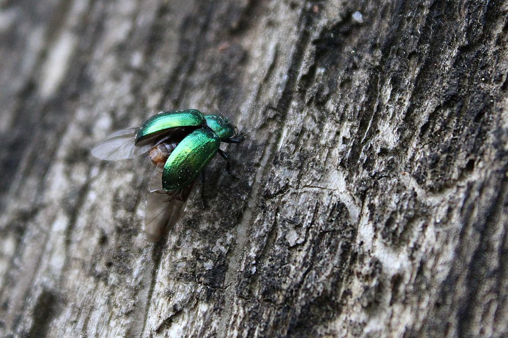 Photograph by Екатерина Пачина