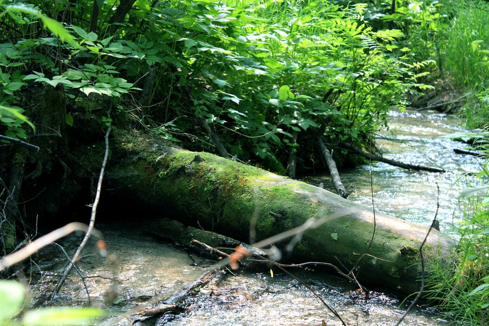 Photograph by Екатерина Пачина