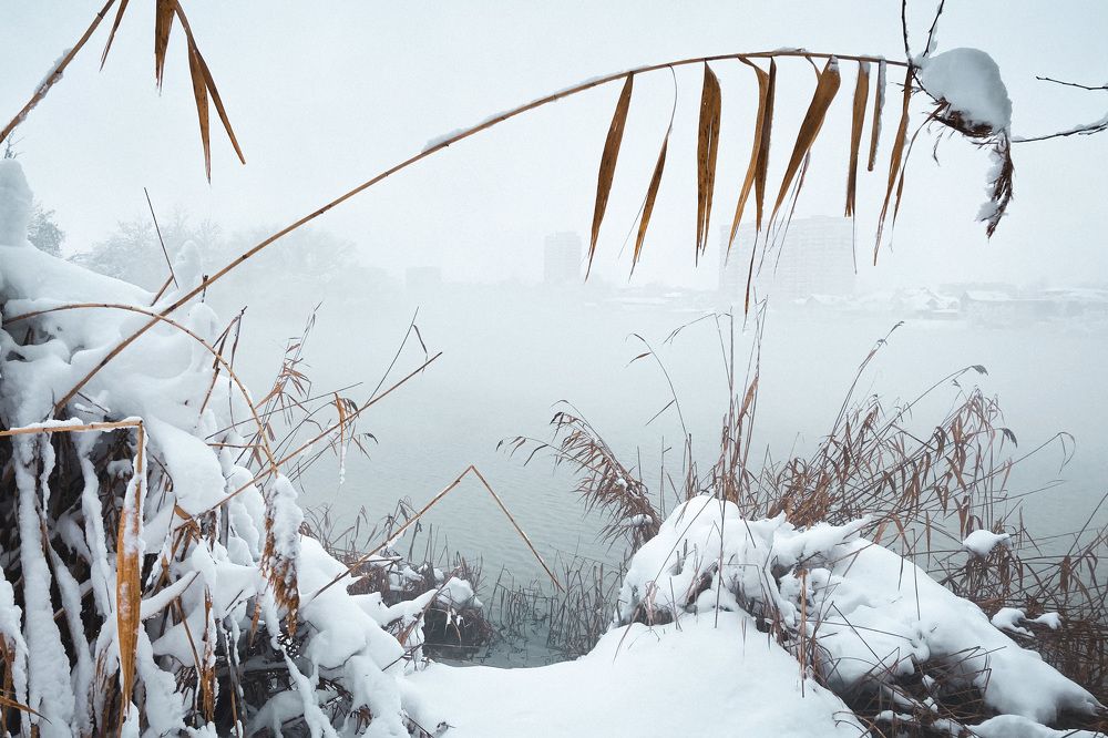 Город в тумане