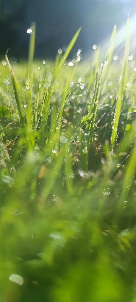 Photograph by Ульяна Северинова