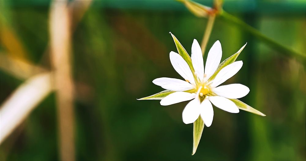 Photograph by Ульяна Северинова