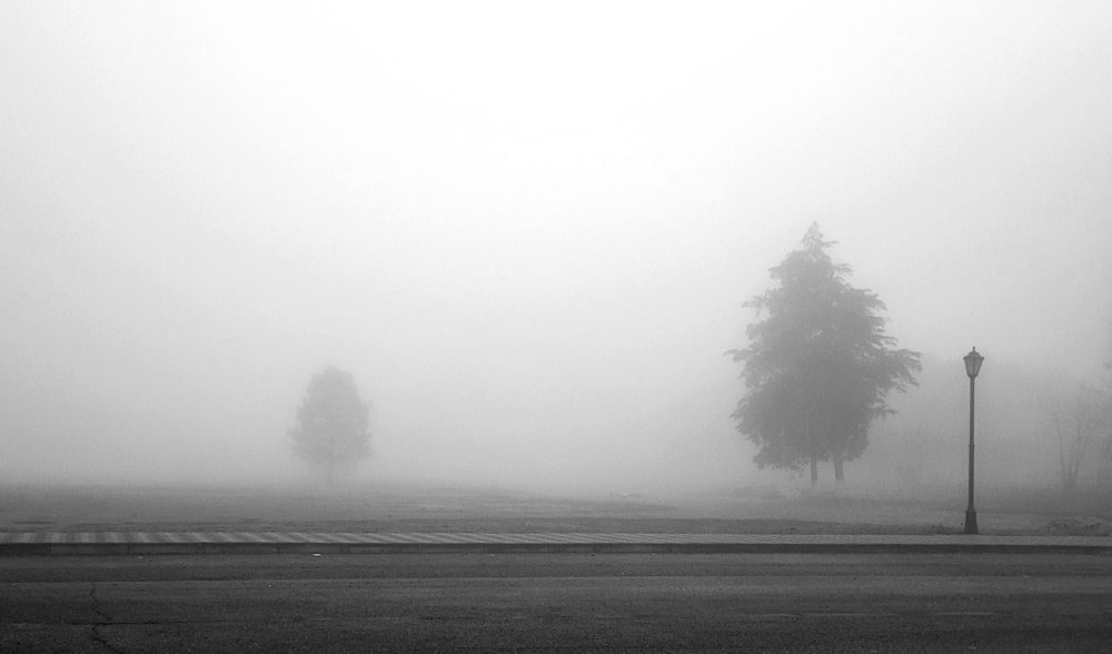 Фотография автора Метушова Анна