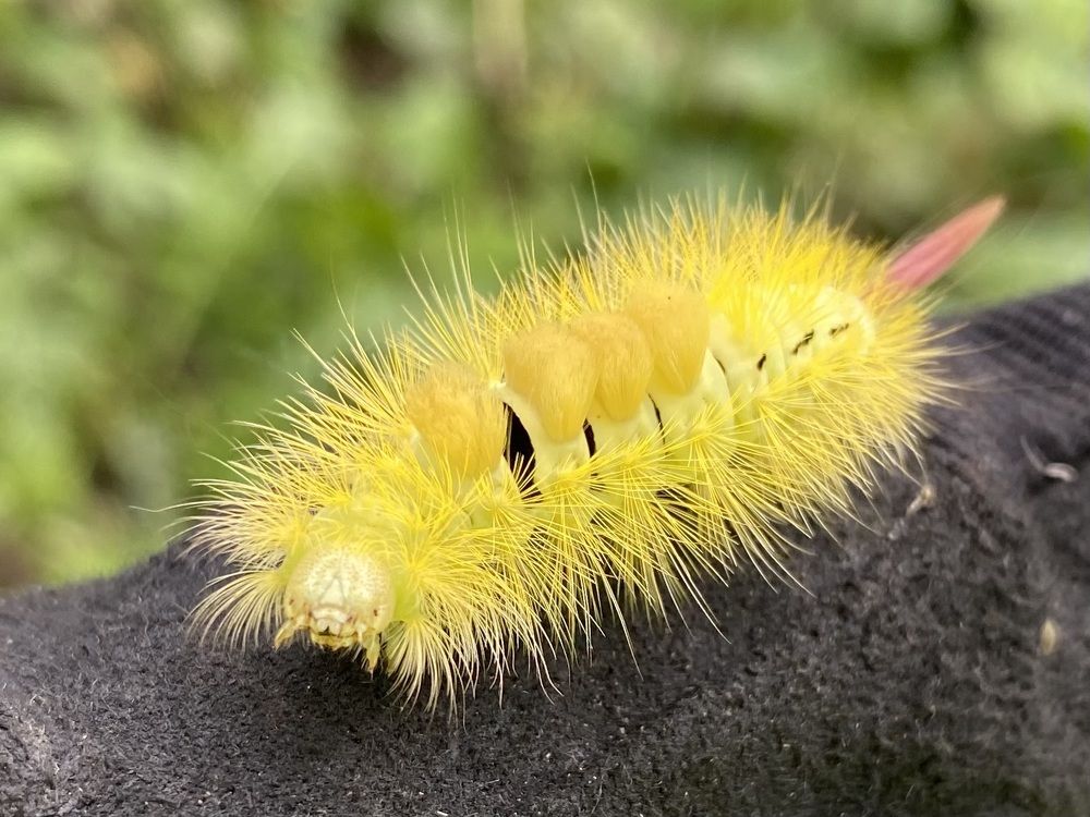 Photograph by Анна