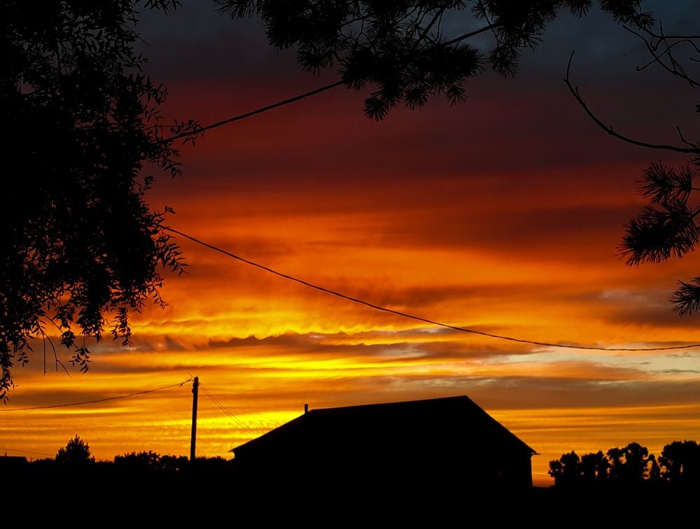 Фотография автора Кристина Присяжная