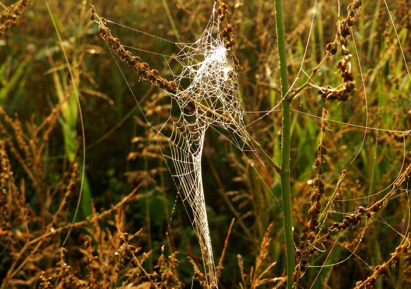 Михаил Соцков, Russia