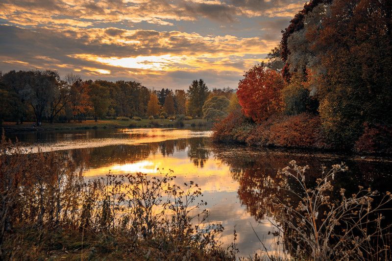 Челищев Максим, Russia