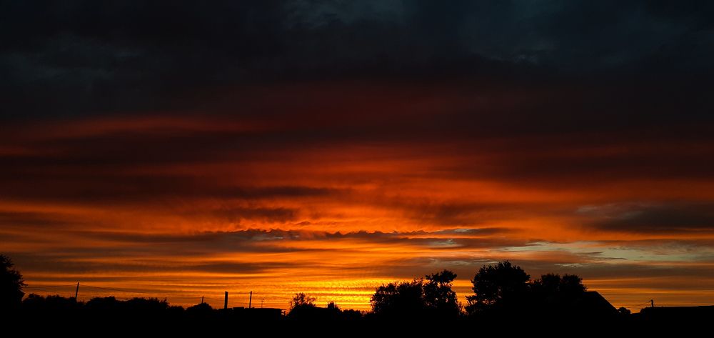 Фотография автора Кристина Присяжная