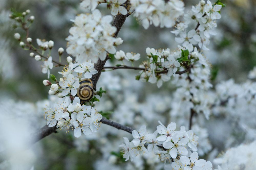 Photograph by Янина Найденцева