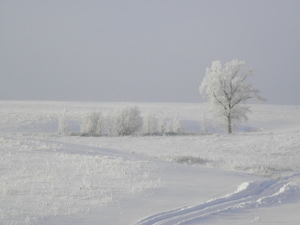 Photograph by SLAVA POTOCKIJ