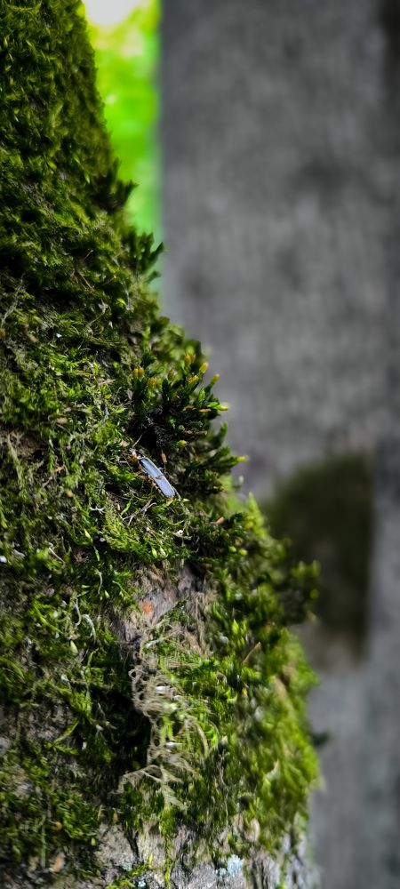 Photograph by Арсений