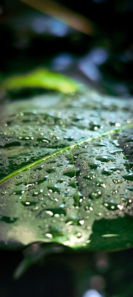 Photograph by Арсений