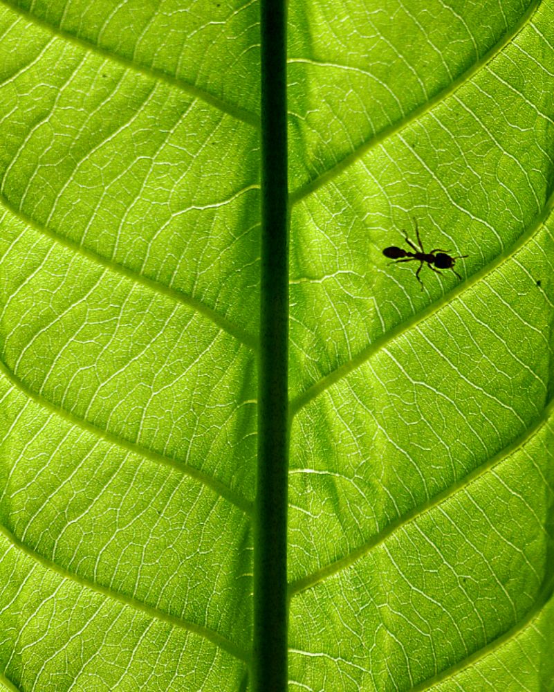 Фотография автора Diana Duque