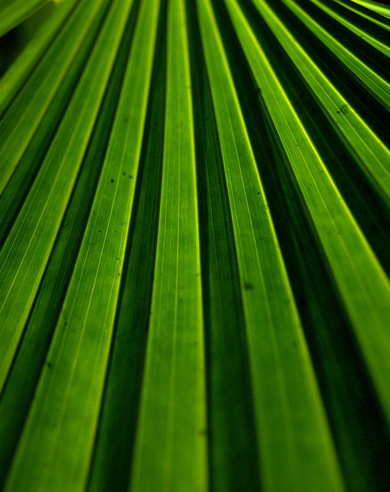 Фотография автора Diana Duque