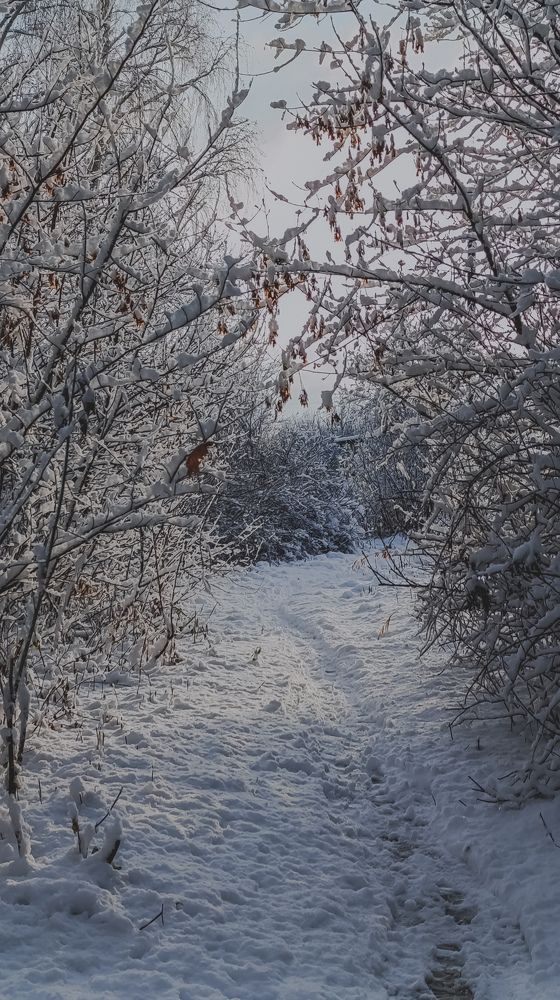 Photograph by Юлия Якубова