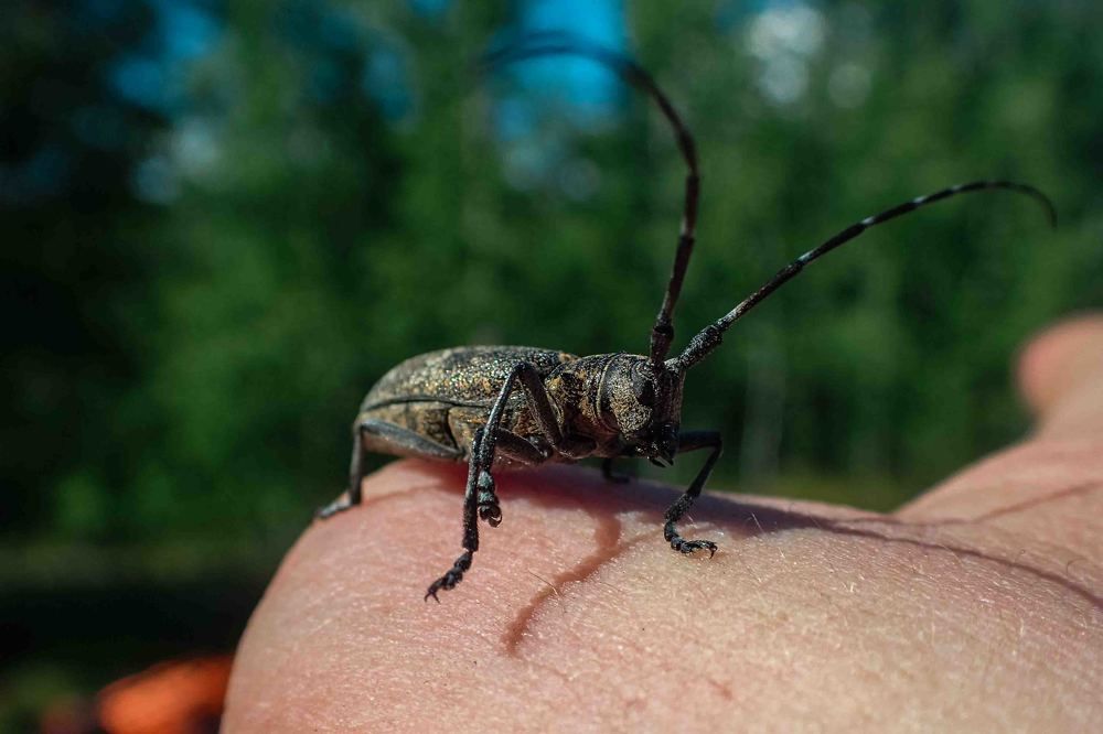 Photograph by Дарий Остахов